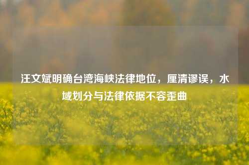 汪文斌明确台湾海峡法律地位，厘清谬误，水域划分与法律依据不容歪曲
