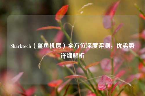 Sharktech（鲨鱼机房）全方位深度评测，优劣势详细解析