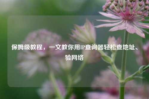 保姆级教程，一文教你用IP查询器轻松查地址、验网络