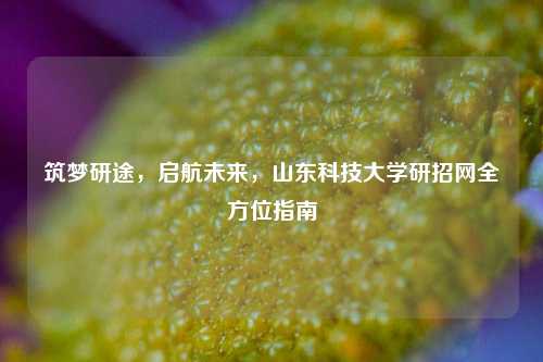 筑梦研途，启航未来，山东科技大学研招网全方位指南