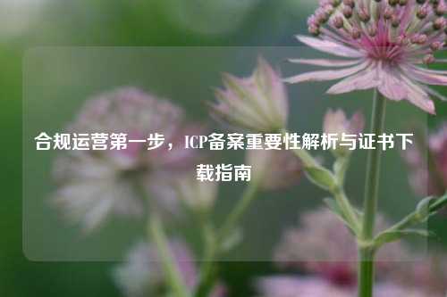 合规运营第一步，ICP备案重要性解析与证书下载指南