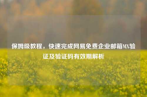 保姆级教程，快速完成网易免费企业邮箱MX验证及验证码有效期解析