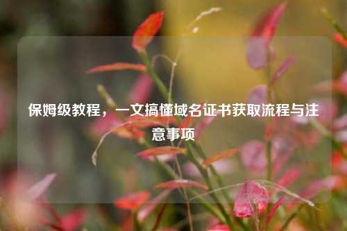保姆级教程，一文搞懂域名证书获取流程与注意事项