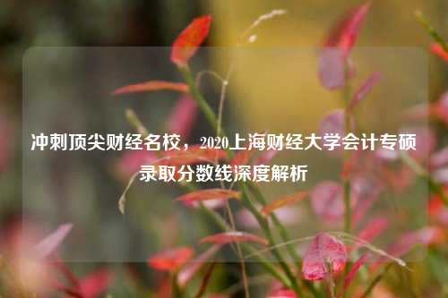 冲刺顶尖财经名校，2020上海财经大学会计专硕录取分数线深度解析