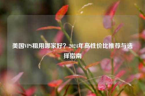 美国VPS租用哪家好？2024年高性价比推荐与选择指南