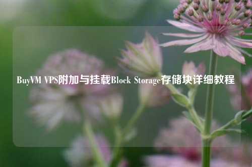 BuyVM VPS附加与挂载Block Storage存储块详细教程