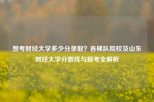 想考财经大学多少分录取？各梯队院校及山东财经大学分数线与报考全解析