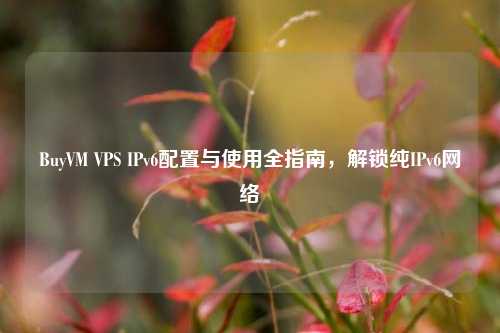 BuyVM VPS IPv6配置与使用全指南，解锁纯IPv6网络