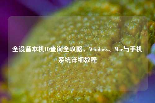 全设备本机ID查询全攻略，Windows、Mac与手机系统详细教程