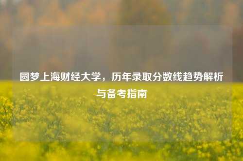 圆梦上海财经大学，历年录取分数线趋势解析与备考指南