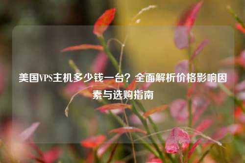 美国VPS主机多少钱一台？全面解析价格影响因素与选购指南
