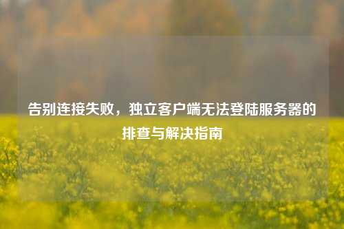 告别连接失败，独立客户端无法登陆服务器的排查与解决指南