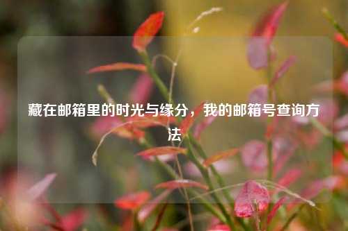 藏在邮箱里的时光与缘分，我的邮箱号查询方法