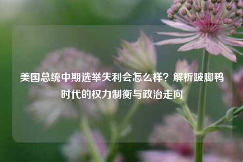 美国总统中期选举失利会怎么样?解析跛脚鸭时代的权力制衡与政治走向