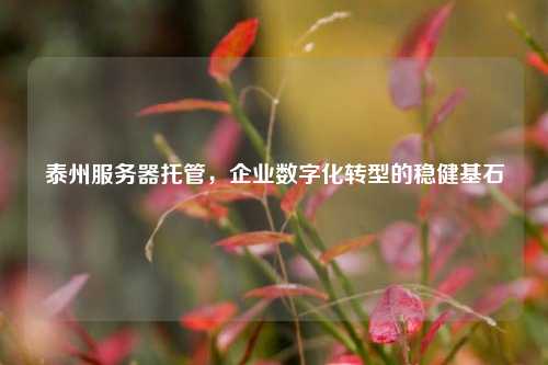 泰州服务器托管,企业数字化转型的稳健基石