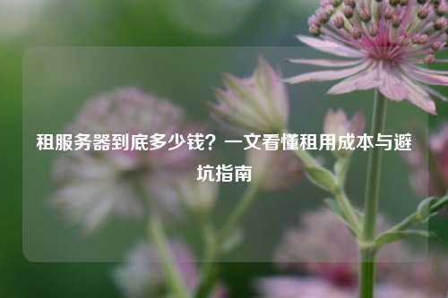 租服务器到底多少钱？一文看懂租用成本与避坑指南