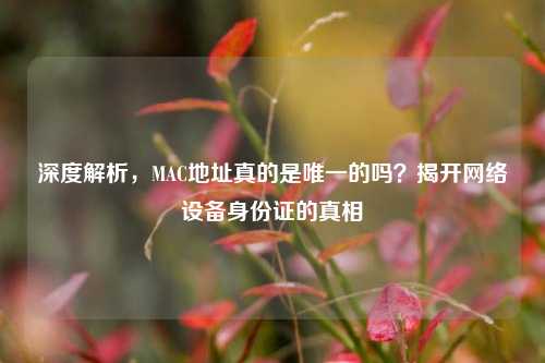 深度解析，MAC地址真的是唯一的吗？揭开网络设备身份证的真相