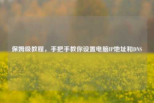 保姆级教程，手把手教你设置电脑IP地址和DNS