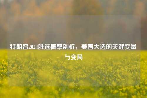 特朗普2024胜选概率剖析，美国大选的关键变量与变局