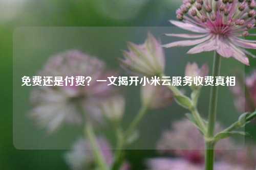 免费还是付费？一文揭开小米云服务收费真相