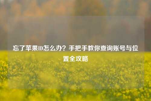 忘了苹果ID怎么办？手把手教你查询账号与位置全攻略