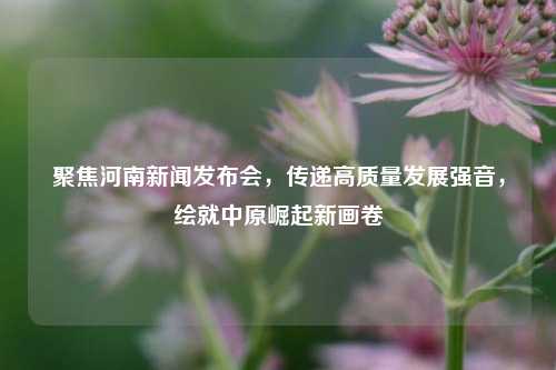 聚焦河南新闻发布会，传递高质量发展强音，绘就中原崛起新画卷