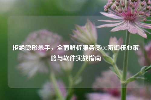 拒绝隐形杀手，全面解析服务器CC防御核心策略与软件实战指南