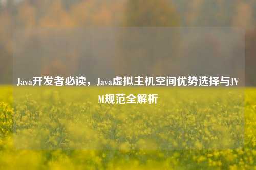 Java开发者必读，Java虚拟主机空间优势选择与JVM规范全解析