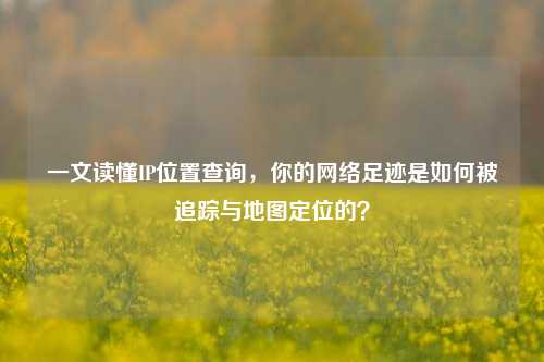 一文读懂IP位置查询，你的网络足迹是如何被追踪与地图定位的？