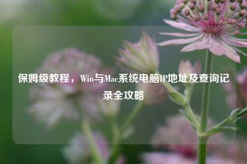 保姆级教程，Win与Mac系统电脑IP地址及查询记录全攻略