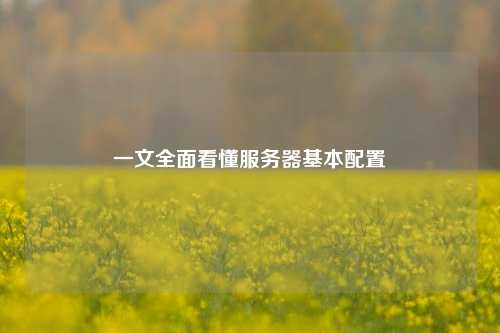 一文全面看懂服务器基本配置
