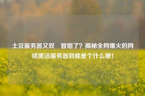 土豆服务器又双叒冒烟了？揭秘全网爆火的网络黑话服务器到底是个什么梗！