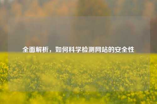 全面解析，如何科学检测网站的安全性