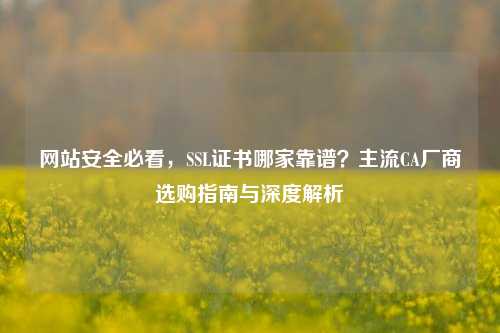 网站安全必看，SSL证书哪家靠谱？主流CA厂商选购指南与深度解析