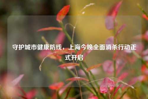守护城市健康防线,上海今晚全面消杀行动正式开启