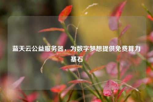 蓝天云公益服务器，为数字梦想提供免费算力基石