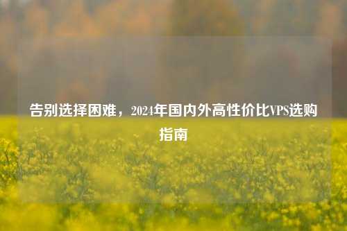 告别选择困难，2024年国内外高性价比VPS选购指南