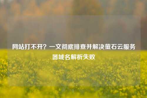 网站打不开？一文彻底排查并解决萤石云服务器域名解析失败