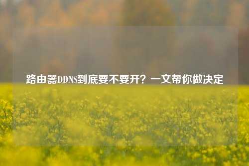 路由器DDNS到底要不要开?一文帮你做决定