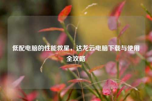 低配电脑的性能救星，达龙云电脑下载与使用全攻略