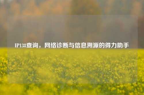 IP138查询，网络诊断与信息溯源的得力助手