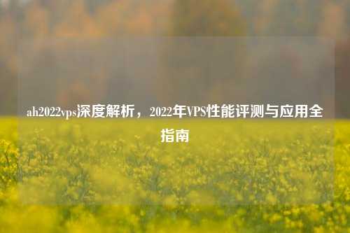 ah2022vps深度解析，2022年VPS性能评测与应用全指南