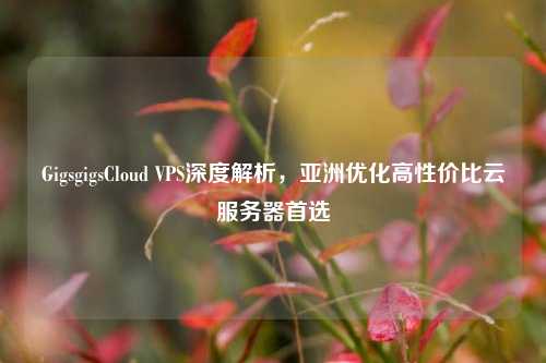GigsgigsCloud VPS深度解析，亚洲优化高性价比云服务器首选