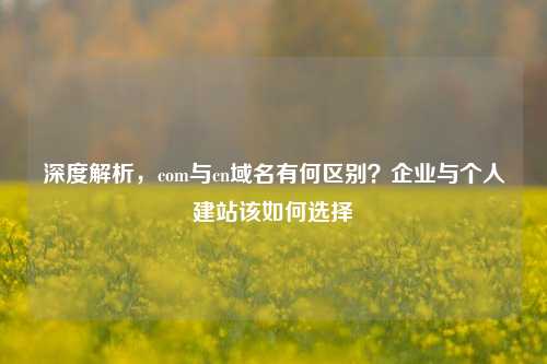 深度解析，com与cn域名有何区别？企业与个人建站该如何选择