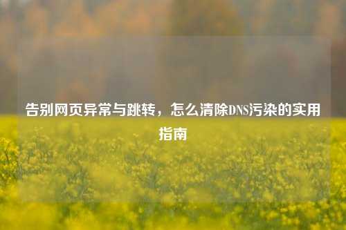 告别网页异常与跳转，怎么清除DNS污染的实用指南