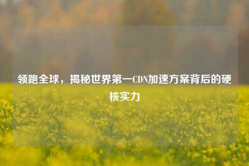领跑全球,揭秘世界第一CDN加速方案背后的硬核实力