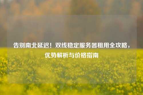 告别南北延迟！双线稳定服务器租用全攻略，优势解析与价格指南