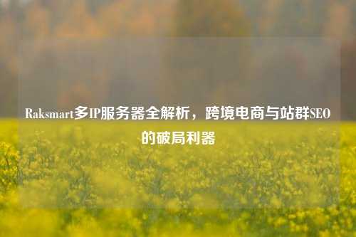 Raksmart多IP服务器全解析，跨境电商与站群SEO的破局利器