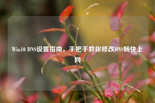 Win10 DNS设置指南，手把手教你修改DNS畅快上网