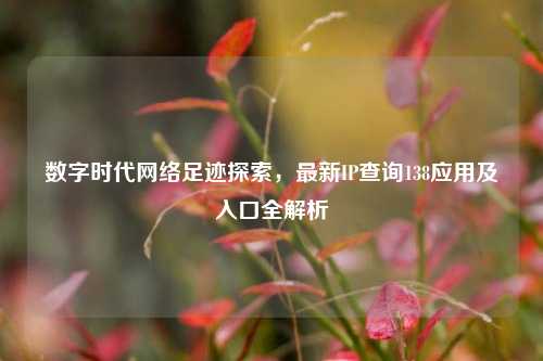 数字时代网络足迹探索，最新IP查询138应用及入口全解析